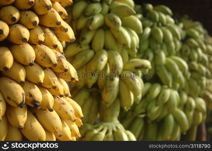 background of yellow and green bananas in Indian marketplace