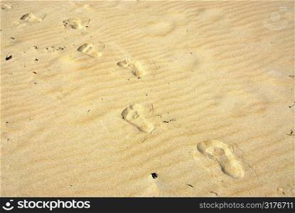 Background of yellow sand surface with footprints