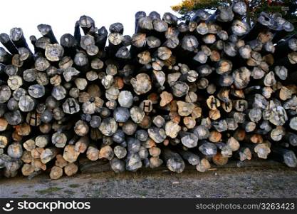 Background pattern of cut tree trunks