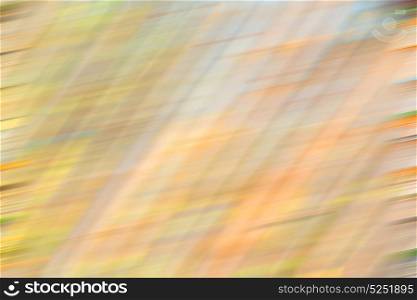 background texture bamboo woothe abstract colors and blurred backgroundd and plant in the abstract