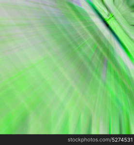 background texture bamboo woothe abstract colors and blurred backgroundd and plant in the abstract