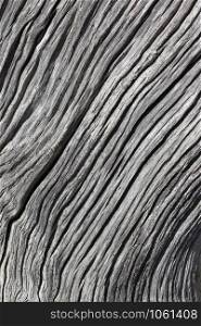 Background - Texture of an old wooden tree stump.