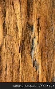 Background texture of earthy colored shale stone.