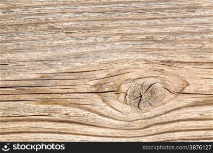 background texture of grained and knotted cedar wood plank