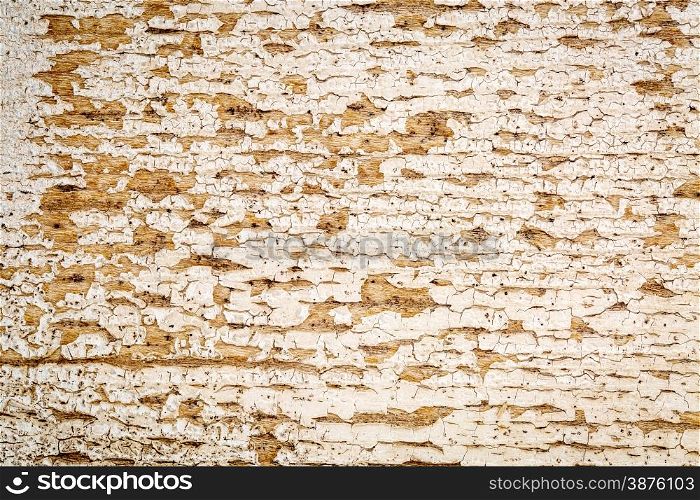 background texture of weathered barn wood with white paint peeling off