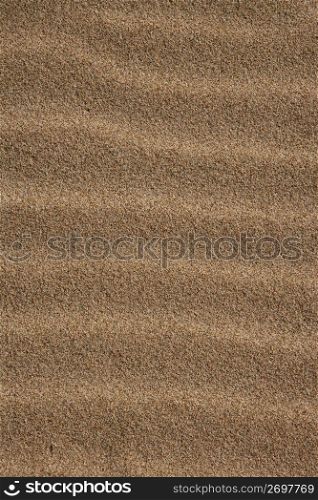 background texture sea coast wind desert sand waves