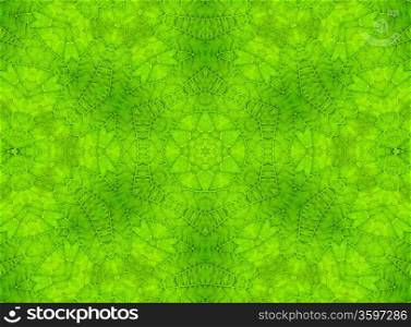 Background with abstract pattern from green leaf