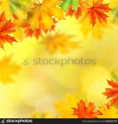 background with autumn leaves