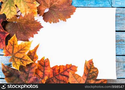 Background with autumn leaves on blue old boards. Background with autumn leaves. Copy space for inscription. colorful leaves.. Background with autumn leaves on blue old boards. Background with autumn leaves. Copy space for inscription.