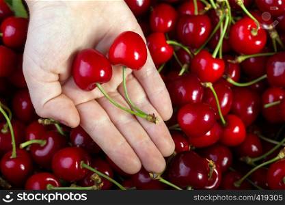 background with cherry wood and hand holding cherries