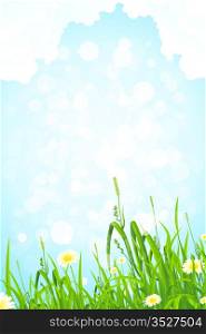 Background with Grass Flowers and Clouds in the Sky