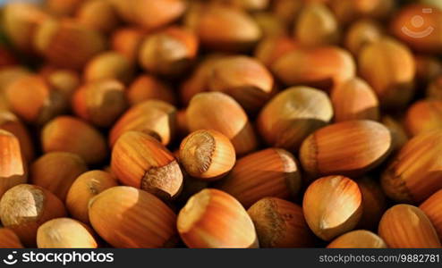 Background with hazelnuts. Healthy autumn nuts.