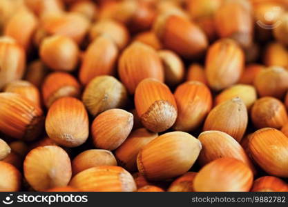 Background with hazelnuts. Healthy autumn nuts.