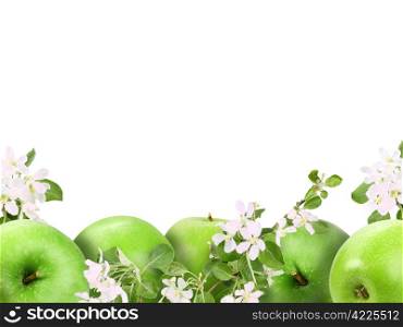 Background with heap of fresh green apples and flowers. Isolated on white. Close-up. Studio photography.