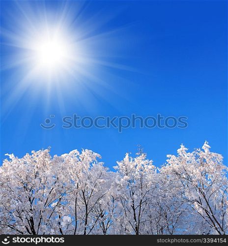 background with ice winter woods under blue sky