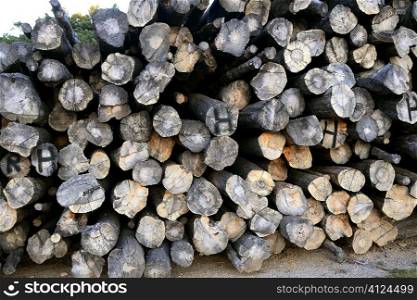 background with stacked wood trunks for industrial purposes