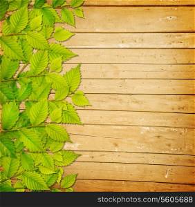 Background with wooden fence and green leaves