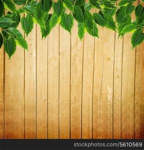 Background with wooden fence and green leaves
