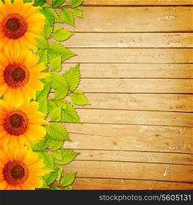Background with wooden fence, green leaves and sunflowers
