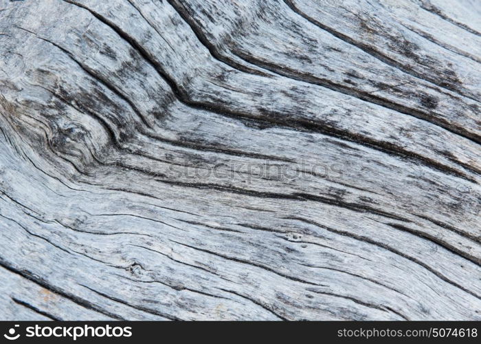 backgrounds and texture concept - close up of old weathered wooden board. close up of old weathered wooden board