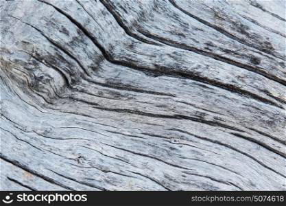 backgrounds and texture concept - close up of old weathered wooden board. close up of old weathered wooden board