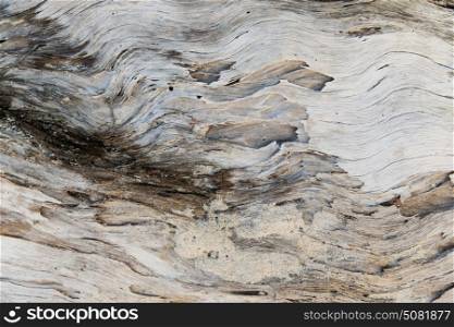backgrounds and texture concept - old weathered wooden surface. old weathered wooden surface