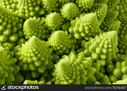 Backgrounds and textures: abstract green natural background, Romanesco broccoli (Brassica oleracea), close-up shot, selective focus. Romanesco broccoli
