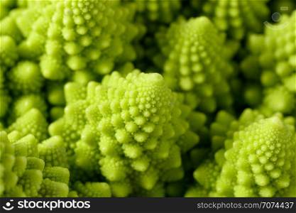 Backgrounds and textures: abstract green natural background, Romanesco broccoli (Brassica oleracea), close-up shot, selective focus. Romanesco broccoli