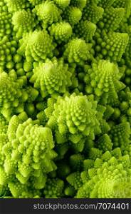 Backgrounds and textures: abstract green natural background, Romanesco broccoli (Brassica oleracea), close-up shot. Green floral background