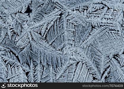 Backgrounds and textures: frost pattern on a window glass. Frost pattern