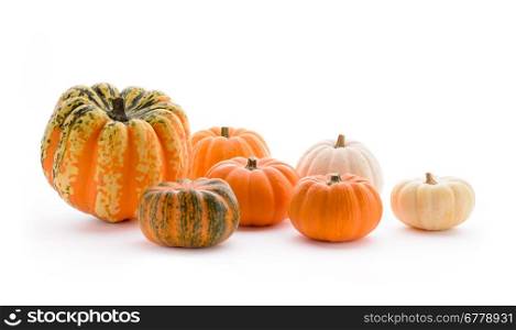 Backgrounds and textures: group of pumpkins arranged in row, white background with copy space, seasonal autumn decoration, border or corner