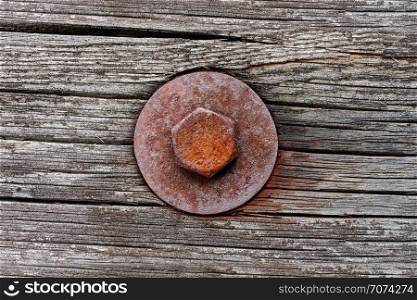 Backgrounds and textures: rusty screw in old weathered wooden plank. Rusty screw in old wooden plank