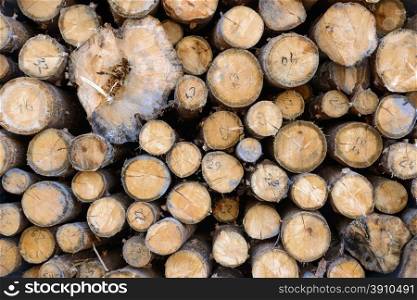 Backgrounds and textures: stack of wood, timber industry or nature abstract background