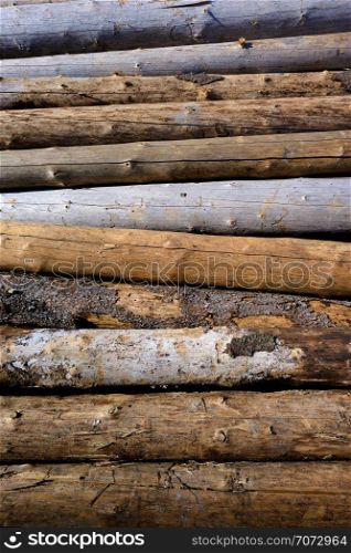 Backgrounds and textures: stack of wood, timber industry or nature abstract background. Timber harvesting