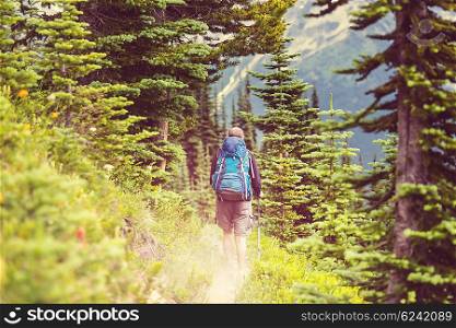Backpacker in summer mountains