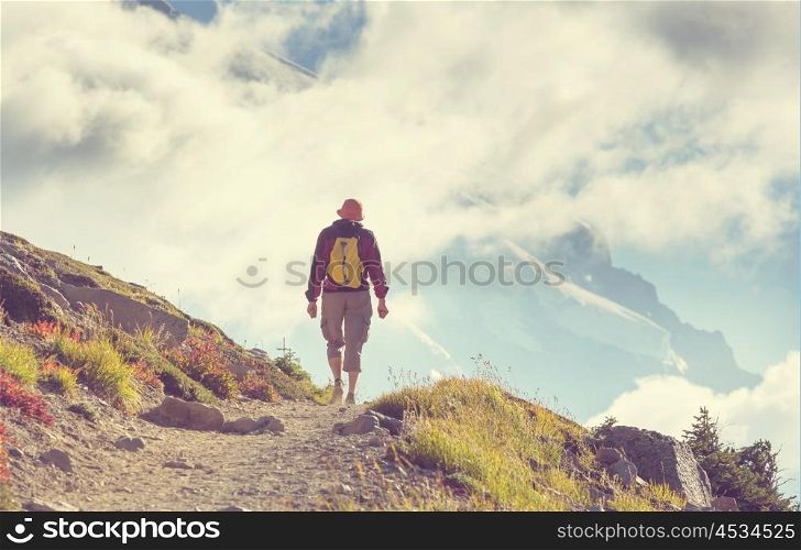 Backpacker in the summer mountains