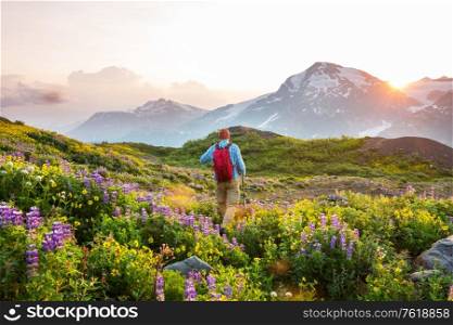 Backpacker in the summer mountains