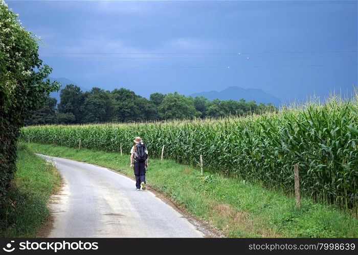 Backpacker walk on the road near green cornb field, France