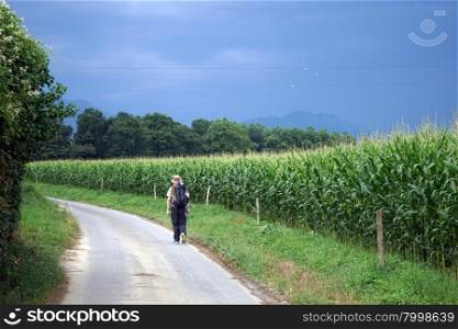 Backpacker walk on the road near green cornb field, France