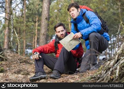 Backpackers with map in forest