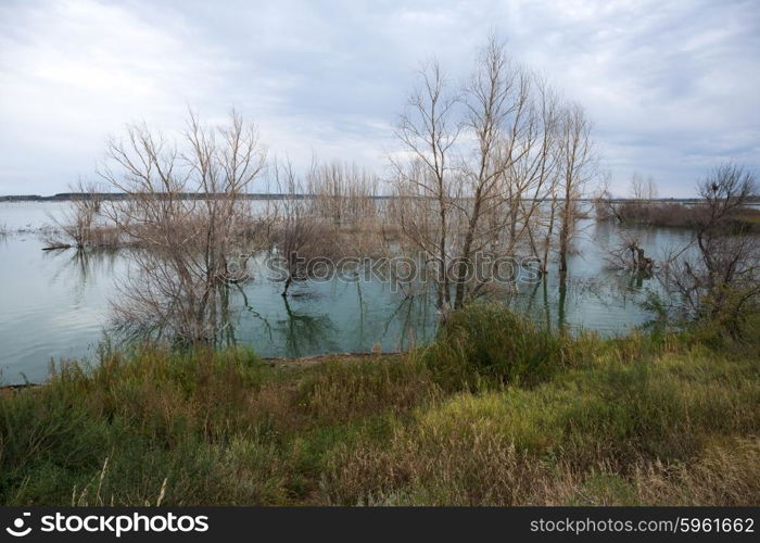 Backwater at sunset in autumn