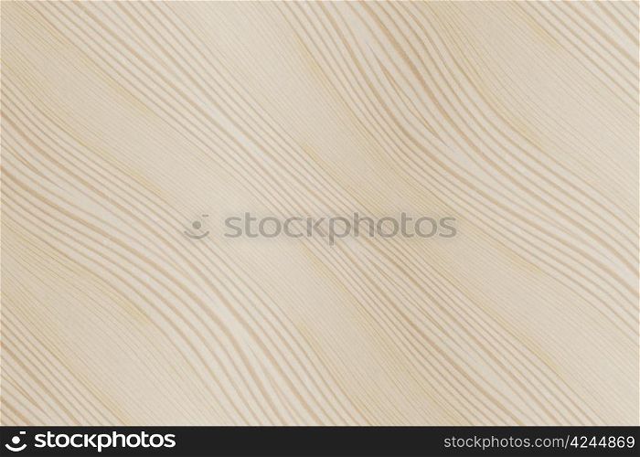 Bacoground of wood texture closeup