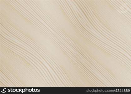 Bacoground of wood texture closeup