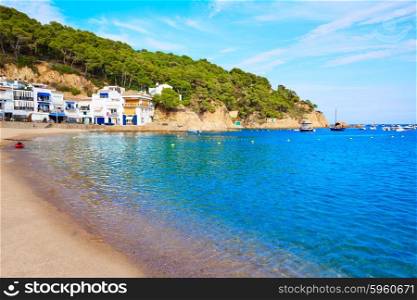 Badia de Tamariu beach in Costa Brava Parafrugell at Girona Catalonia of Spain