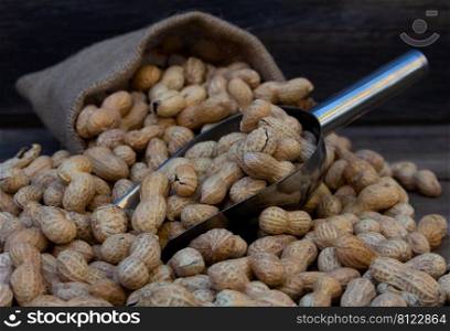bag and shovel spoon with bulk peanuts on rustic background. bag and shovel bucket with bulk peanuts