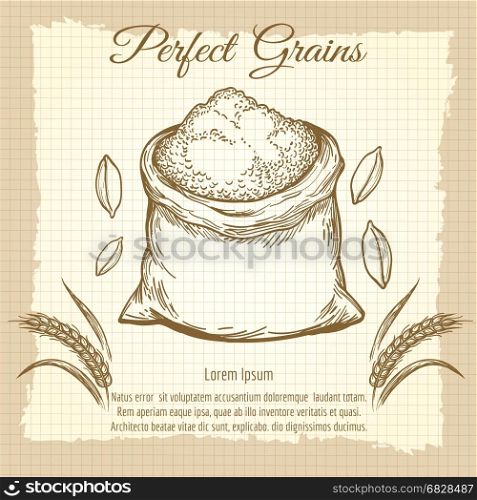 Bag of wheat flour vintage poster. Whole bag of wheat flour. Vector vintage poster for bakery or harvest, premium product emblem