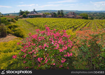 bagnols,rhone,france