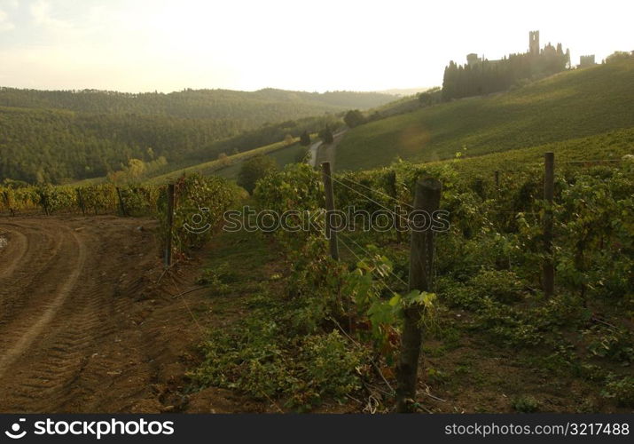 Baidia a Passignano - Tuscany, Italy