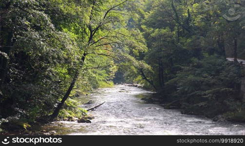 Baile Herculane town Romania Cerna river landscape