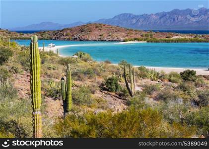 Baja California landscapes